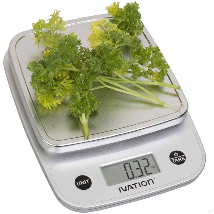 Ivation Digital Kitchen Food Scale