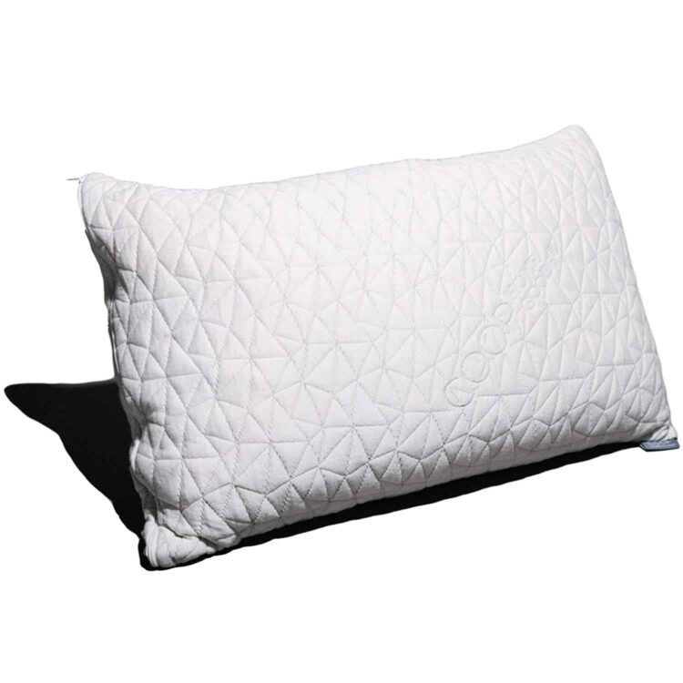 Coop Home Goods Hypoallergenic Memory Foam